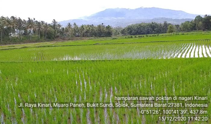 PROFIL NAGARI KINARI KECAMATAN BUKIT SUNDI KABUPATEN SOLOK PROVINSI SUMATERA BARAT