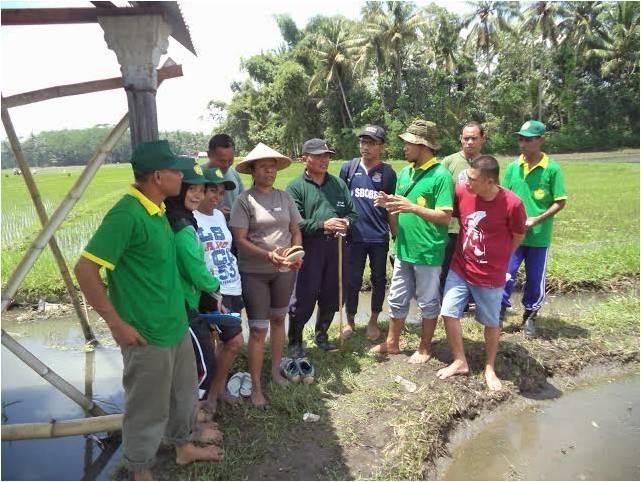PERTANIAN JANGAN DITINGGALKAN