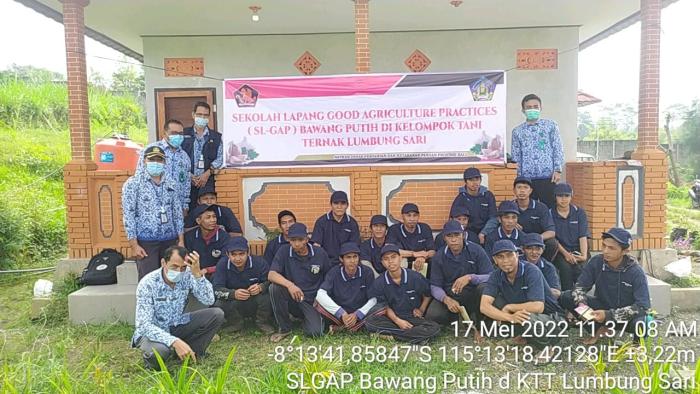 SL-GAP BAWANG PUTIH DI KELOMPOK TANI TERNAK LUMBUNG SARI DS TAMBAKAN KEC.KUBUTAMBAHAN KABUPATEN BULELENG- BALI.