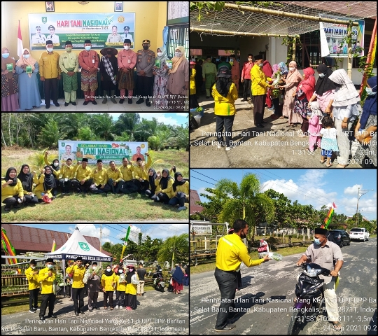UPT BALAI PENYULUHAN PERTANIAN KECAMATAN BANTAN KABUPATEN BENGKALIS MEMBAGIKAN BENIH, BIBIT DAN SAYUR-SAYURAN KE MASYARAKAT DALAM RANGKA PERINGATAN HARI TANI NASIONAL YANG KE-61