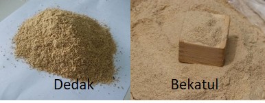 TEKNIK BETERNAK ENTOK YANG MENGUNTUNGKAN