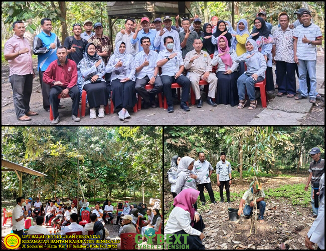 Temu Lapang Opt (organisme Pengganggu Tumbuhan) Durian Kecamatan Bantan Kabupaten Bengkalis