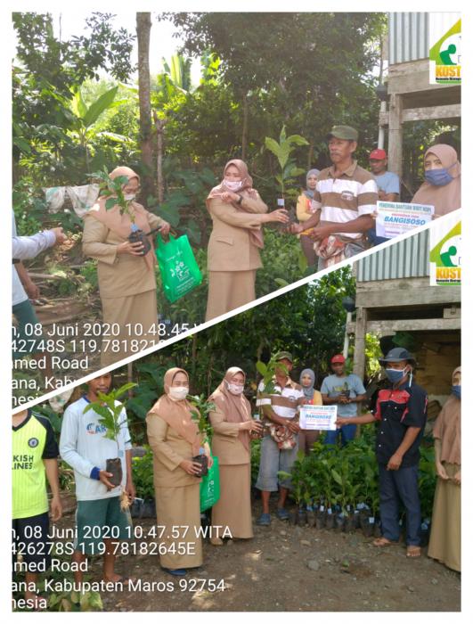 Penyaluran Bantuan Bibit Tanaman Kopi Di Kecamatan Cenrana