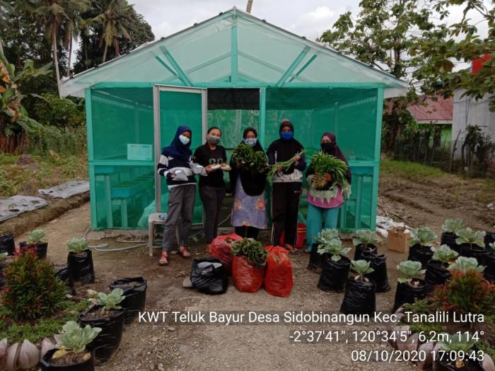 Antusiasme Anggota Kwt Teluk Bayur Dalam Menjalankan Kegiatan P2l  Dimasa Pandemi Covid-19