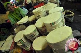 TEKNOLOGI PRODUKSI BENIH SEBAR JAGUNG HIBRIDA