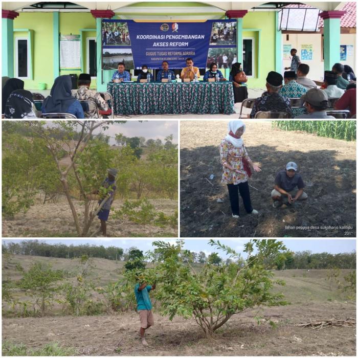 Pengembangan Akes Reform Bidang Pertanian Pada Tanah Timbul Di Kabupaten Bojonegoro