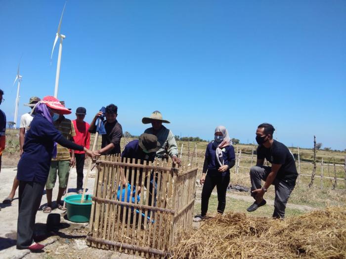 MENGUBAH MIND SET PETANI MELALUI JERAMI