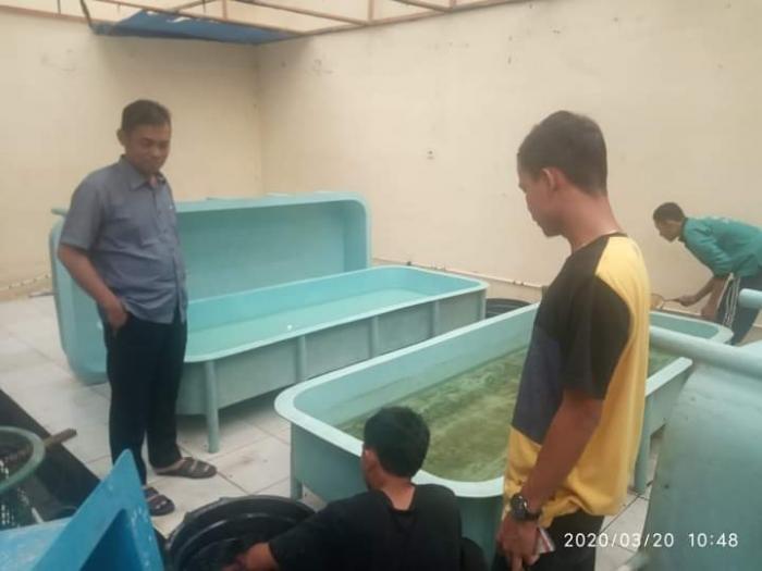 BANTUAN PEMBERERIAN BIBIT IKAN PATIN OLEH ANGGOTA DPRD KABUPATEN KUANTAN SINGINGI BAPAK AZRORI ANALKE APAS