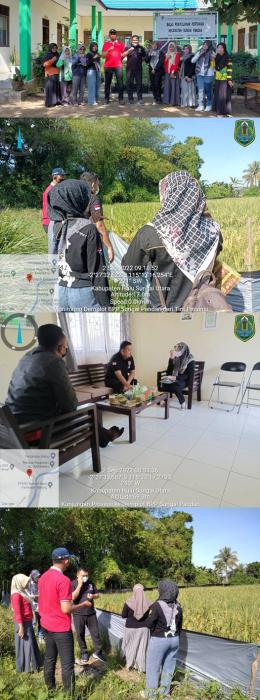 Kunjungan Dari Dinas TPH Provinsi Kalimantan Selatan Ke Demplot Padi BPP Kec. Sungai Pandan Kab. Hulu Sungai Utara