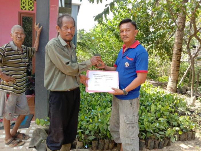 KEGIATAN REHAB TANAMAN LADA DI DESA SERANGKAT, KECAMATAN LEDO