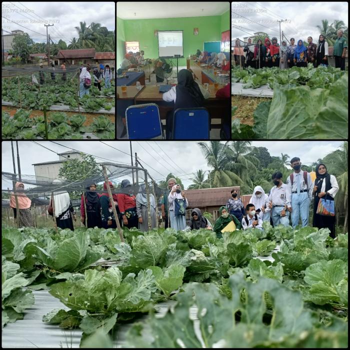 Display Kaji Terap Kubis Di Lahan Laboratorium Lapang BPP Kembang Kuning