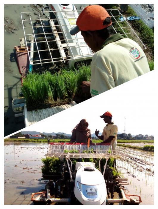         Penggunaan Rice Transplanter Untuk Mengatasi Kekurangan Tenaga Tanam