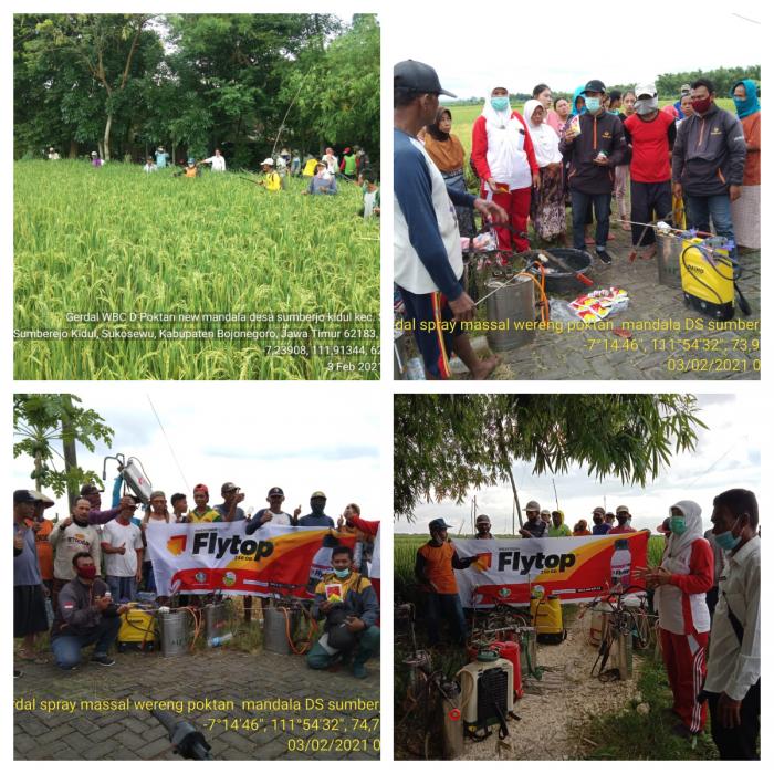 Gerakan Pengendalian  WBC (Wereng Batang Coklat)