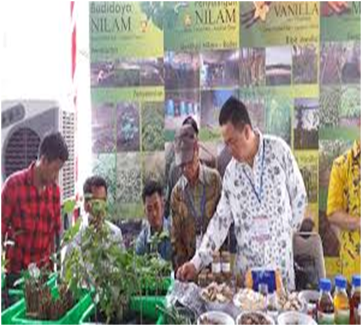 PESTISIDA NABATI