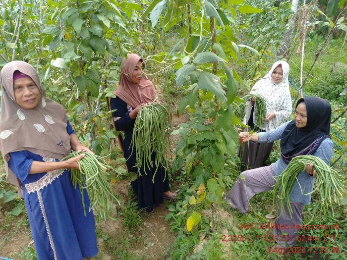 PEKARANGAN PANGAN LESTARI UNTUK KETAHANAN PANGAN KELUARGA