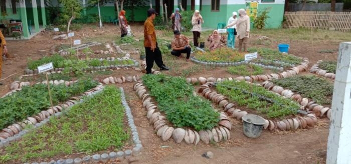 BPP BINAMU DISULAP JADI DEMPLOT SAYUR