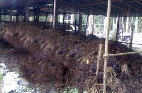 TEKNIK PEMBUATAN PUPUK KANDANG
