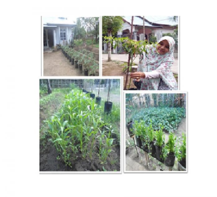 PEMANFAATAN LAHAN PEKARANGAN
