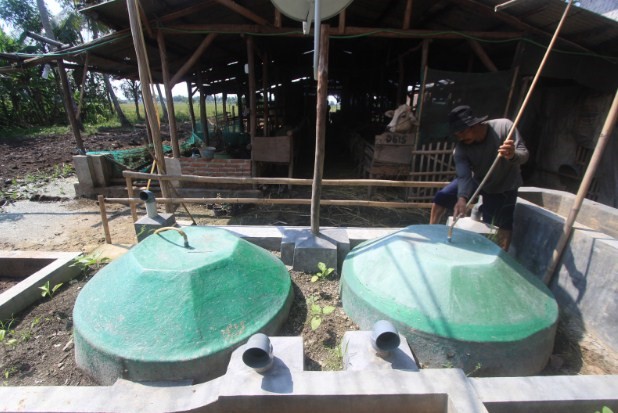 PROSEDUR PERIZINAN USAHA  PERKEBUNAN 