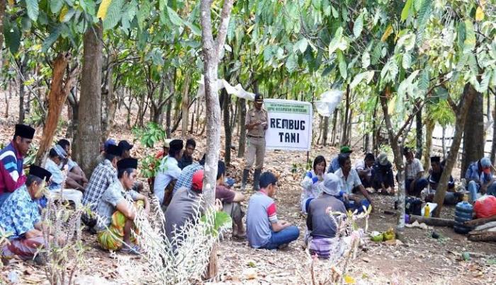 KOMUNIKASI DALAM KEGIATAN PENYULUHAN PERTANIAN