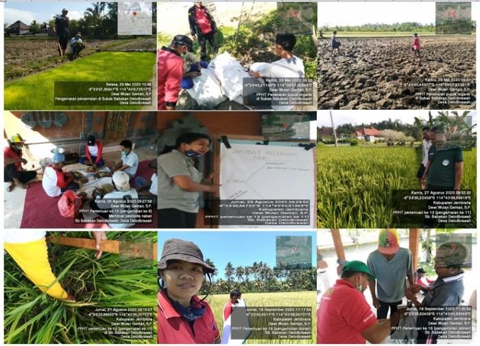 PENERAPAN PENGENDALIAN HAMA TERPADU DI SUBAK BABAKAN DELODBRAWAH