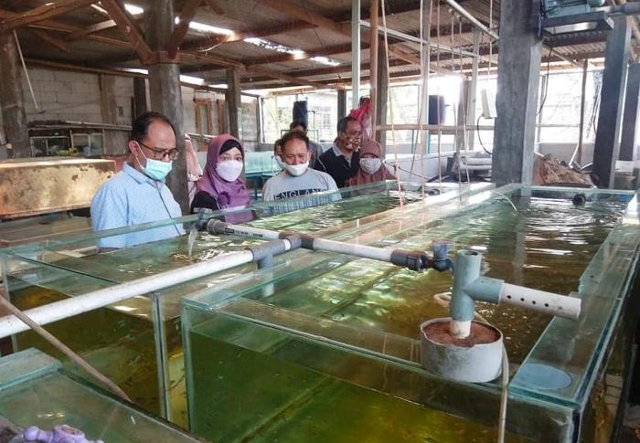 Kolaborasi BRBIH, Pemkot Depok dan para Pembudidaya Ikan Hias dalam Riset serta Transfer Teknologi Budidaya
