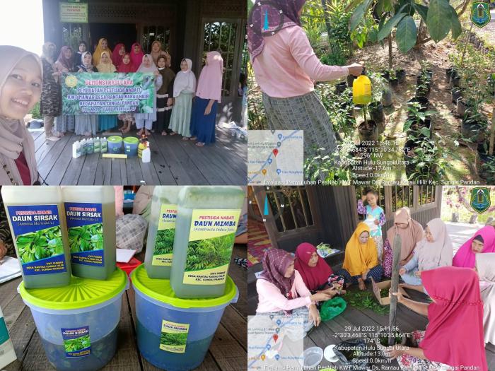 Demonstrasi Cara Pembuatan Pestisida Nabati di KWT Mawar Ds. Rantau Karau Hilir Kec.Sungai Pandan