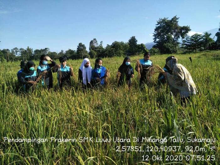 Pendampingan Siswa Prakerin Smkn 1 Luwu Utara Di Wkpp Desa Minanga Tallu Kecamatan Sukamaju
