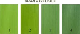 BIOCHAR, SANG PEMBENAH BAGI TANAH YANG TERDEGRADASI