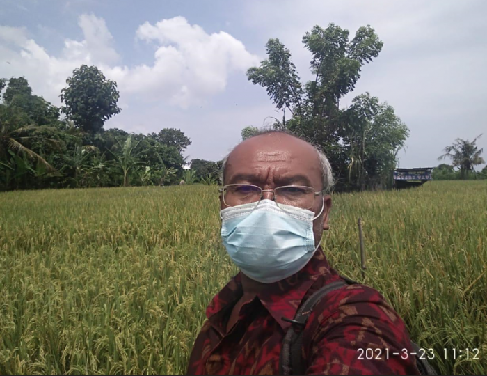 Pengawalan Menjelang Panen