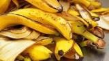 OLAHAN DARI LIMBAH KULIT PISANG