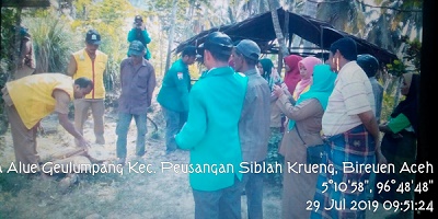 Pengenalan Penyakit Layu Fusarium Pada Tanaman Pisang serta Cara Pencegahannya