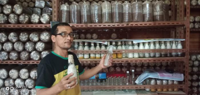  Abdussalam Sebagai Pelopor  Ã¢â‚¬Å“salam Jamur Pembibitan Dan  Budidaya JamurÃ¢â‚¬Â Di Banda Aceh