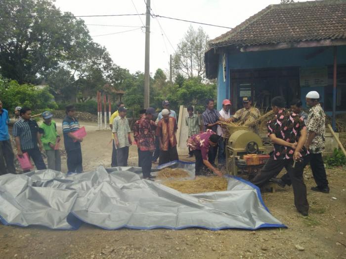 PENGAMATAN ORGANISME PENGGANGGU TANAMAN (OPT) UBI JALAR PADA PROGRAM PENGEMBANGAN UBI JALAR DI KELOMPOKTANI ARUM DINA DESA BRUBUH KECAMATAN JOGOROGO KABUPATEN NGAWI