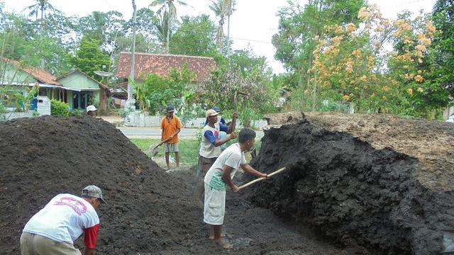 PORANG  POTENSI DAN PELUANG