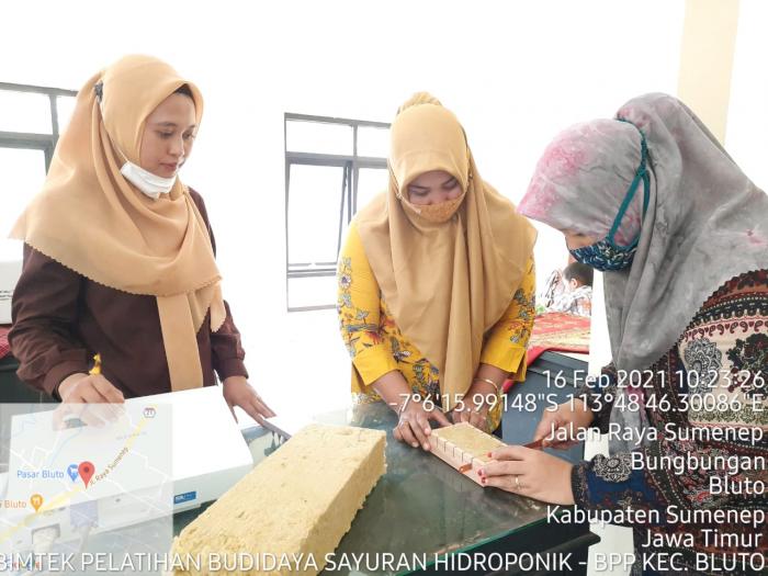 Bimtek Budidaya Sayuran Hidroponik Dorong Peningkatan Pks (perilaku, Keterampilan Dan Sikap) Kelompok Wanita Tani Kec. Bluto-sumenep