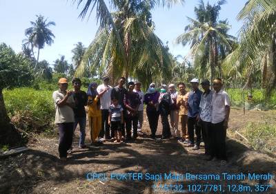 CPCL Kegiatan Bantuan Ternak Sapi di Desa Tanah Merah 