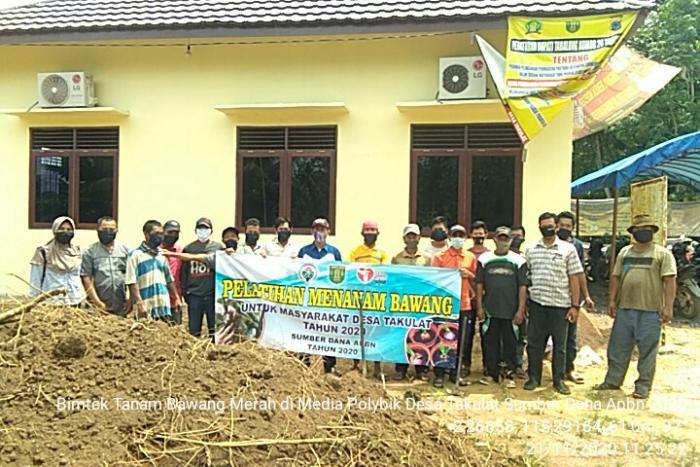 Budidaya Bawang Merah dalam Pot