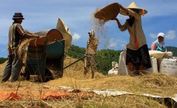 TEKNOLOGI PANEN DAN PASCA PANEN PADI