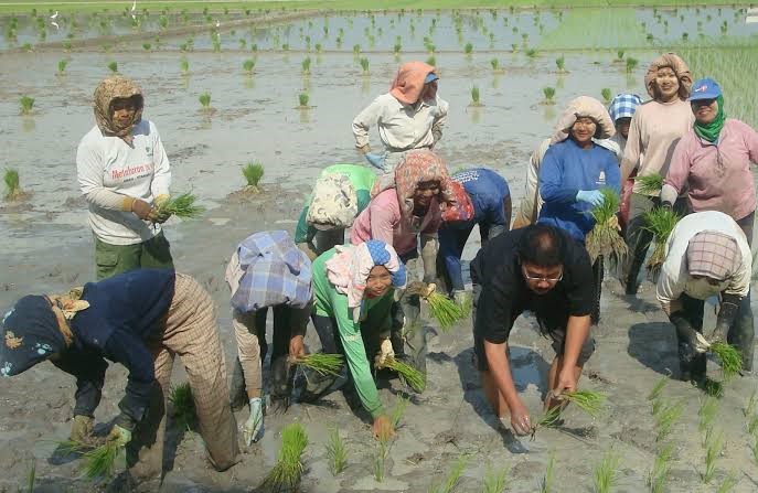 PENDEKATAN PARTICIPATORY RURAL APPRAISAL (PRA)  DALAM PERENCANAAN DAN EVALUASI PROGRAM PENYULUHAN 
