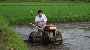 Pemuda Harus Cinta Pertanian