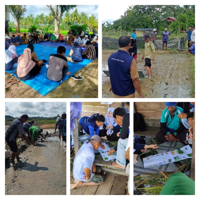 PENINGKATAN KETERAMPILAN PETANI MELALUI SEKOLAH LAPANG