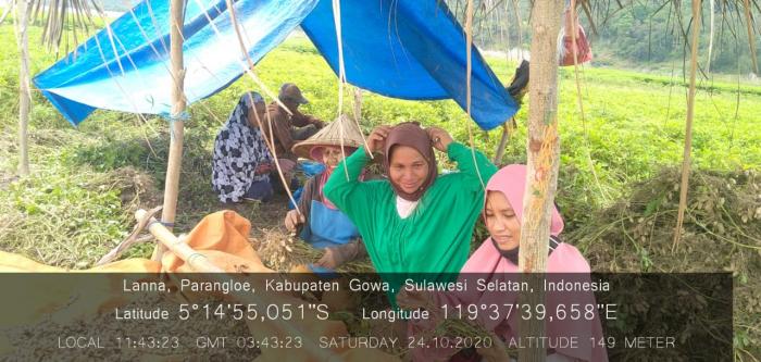 Kecamatan Parangloe Sebagai Sentra Pengembangan Kacang Tanah Di Kabupaten Gowa Provinsi Sulawesi Selatan 