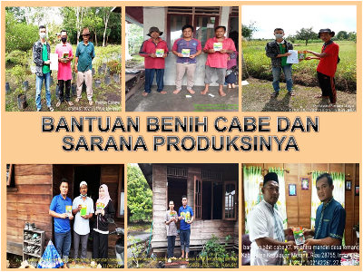 Bantuan Benih Cabe Dan Sarana Produksinya APBN Tahun 2021