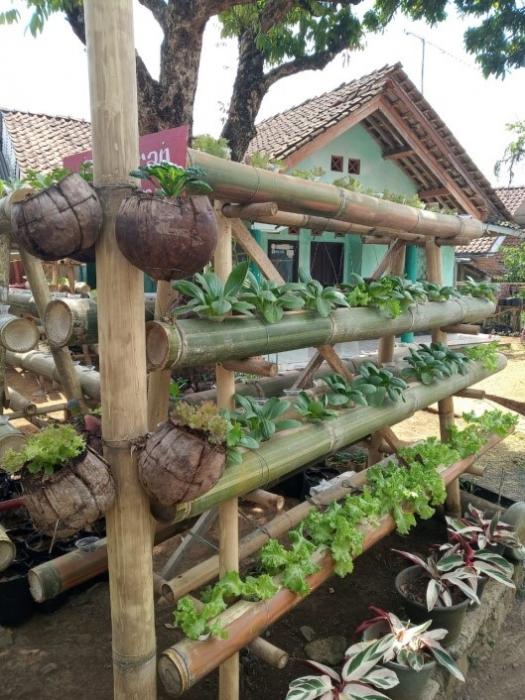 kawasan rumah pangan lestari (KRPL)