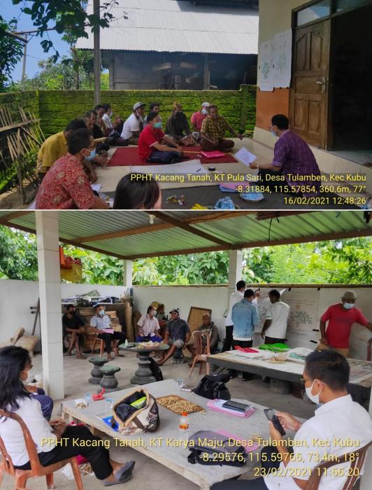 BPTPH Provinsi Bali Laksanakan Kegiatan PPHT Kacang Tanah di Kecamatan Kubu