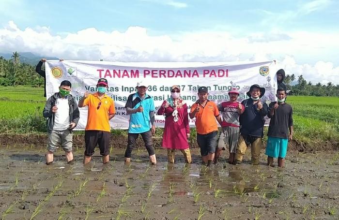 Kegiatan Tanam Perdana Padi Varietas Inpari 36 Dan 37 Oleh (balitbangtan Kementan Ri) Melalui (lolittungro Sul-sel) Kelompok Esagenang I Desa Lemusa Kecamatan Parigi Selatan