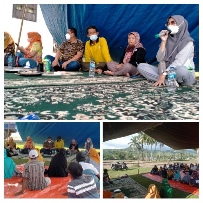Rembuk Tani Bulango Timur Fokuskan Si Tawo Dalam Kegiatan Sekolah Lapang Inovasi Teknologi Pertanian