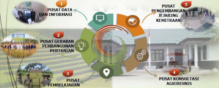 MENYIAPKAN BIBIT TEH DENGAN STEK DAN BIJI