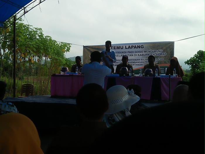 Temu Lapang Budidaya Padi Gogo Varietas Inpago 9 Di Kelurahan Batu
